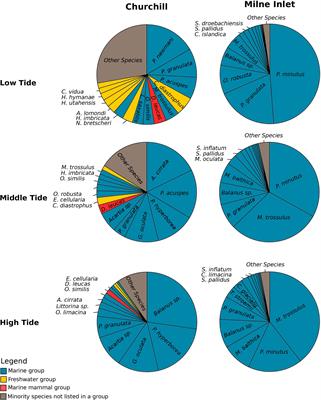 Tidal effect on environmental DNA communities in Arctic estuarine and marine ecosystems